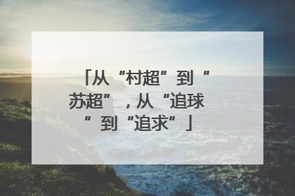 从“村超”到“苏超”，从“追球”到“追求”
